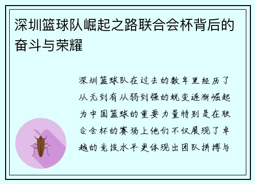 深圳篮球队崛起之路联合会杯背后的奋斗与荣耀
